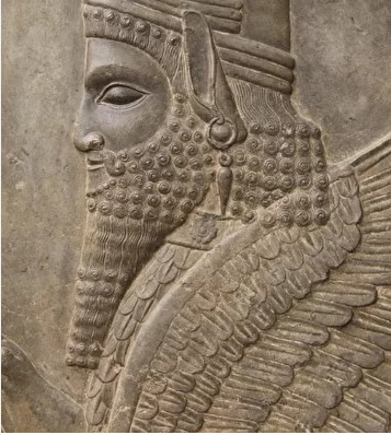 1657138961386-png.25565